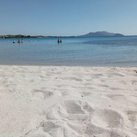 Center House * Olbia