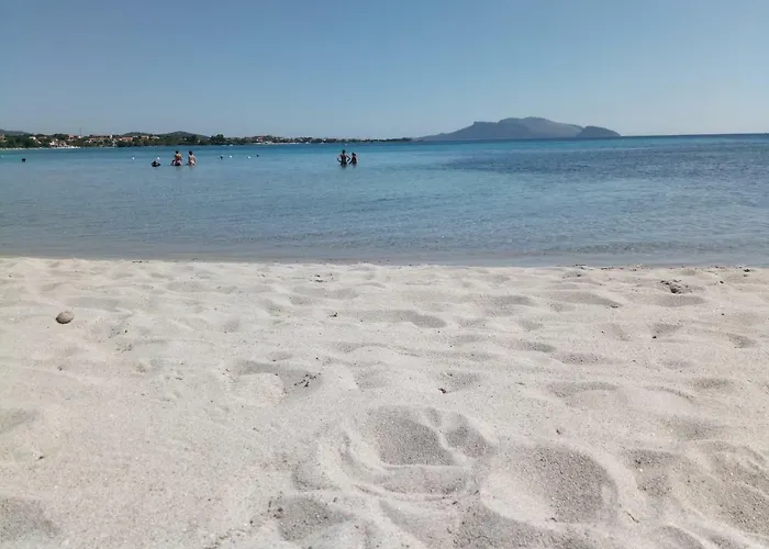 Center House * Olbia